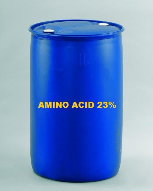 Amino acid 23%