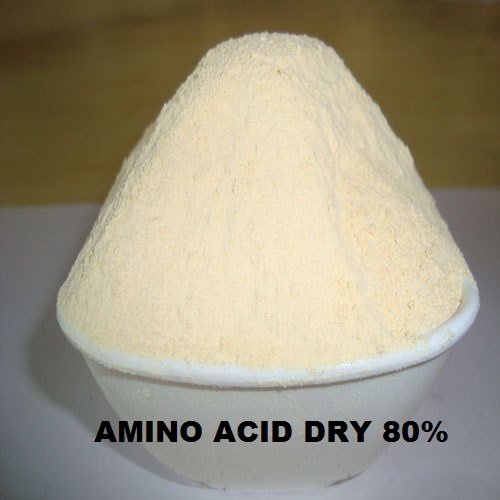 Amino acid soya base